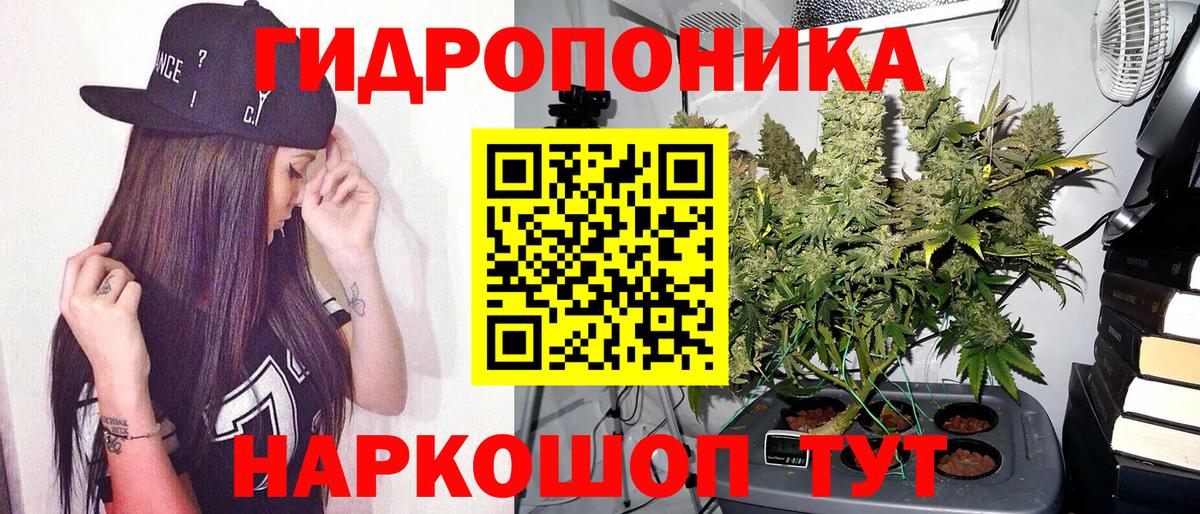 Бошки марихуана индика  Бошки марихуана THC 21%  Бошки марихуана сатива  Бошки марихуана семена  Вход с VPN  Свободный 